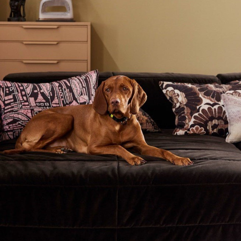 Brut sofa: Element right divan, royal velvet espresso - House of Orange